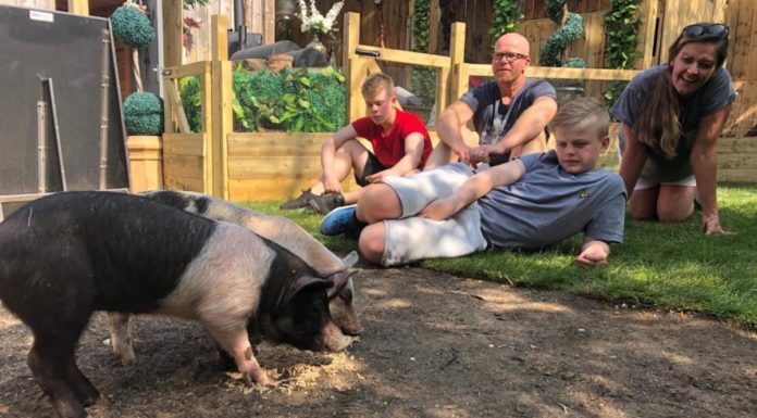 Fresh TV Formats: la temática social en múltiples vertientes evoluciona en la selección de MIPCOM 2019 meat the family