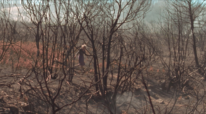 ‘O que arde’, la película de las ayudas selectivas del ICAA en la pugna por el Goya a la mejor película de año
