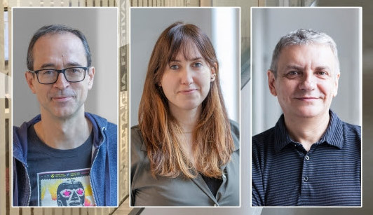 El Festival de San Sebastián incorpora a su comité de selección a los programadores Javier Martín y Natalia Marín
