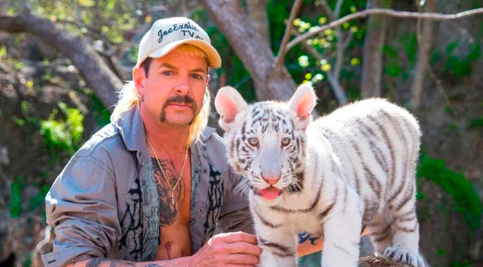 Netflix se beneficia del Covid-19 al sumar cerca de 16 millones de usuarios en el inicio de 2020 Tiger King Netflix