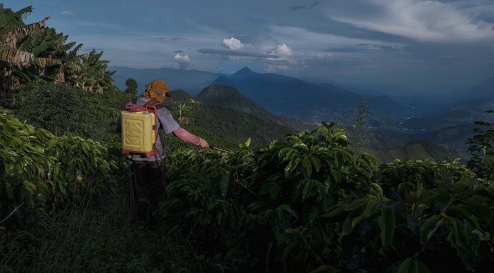 Ya se conocen los seis títulos que participan en la primera edición de WIP Latam de San Sebastián 2020