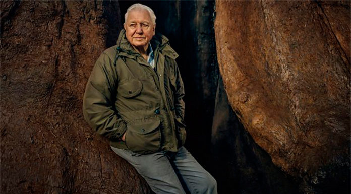 El showcase de BBC Studios será online en 2021 The Green Planet