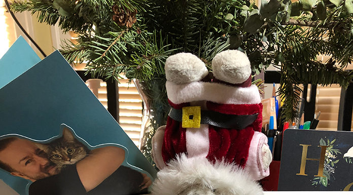 Raimundo Hollywood