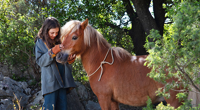 ‘Mi amigo pony’ – estreno en cines 30 de diciembre mi amigo pony