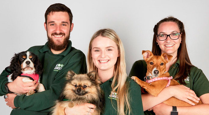 Odisea adquiere casi 100 horas de producciones internacionales Puppy School Odisea
