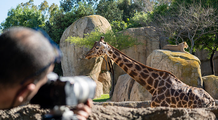 Mediacrest y Discovery inician la producción del docu-reality ‘Crónicas del zoo’ Crónicas del Zoo Mediacrest