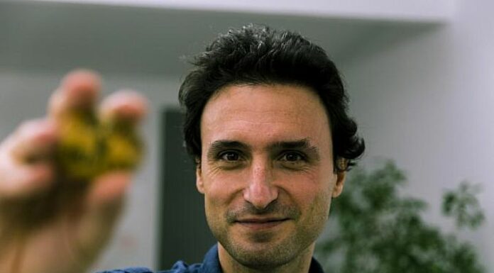 Manuel Asín, nuevo director artístico del Festival Internacional de Cine Documental Punto de Vista de Navarra