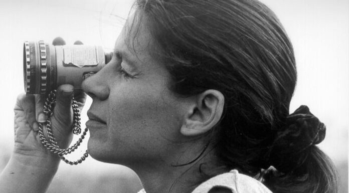La cineasta húngara Ildikó Enyedi, Premio Honorífico del Festival de Sevilla