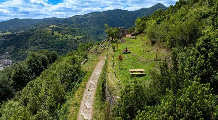El Festival de San Sebastián pone en marcha el Premio Tanta para proyectos que visibilicen la emergencia climática Festival de San Sebastián
