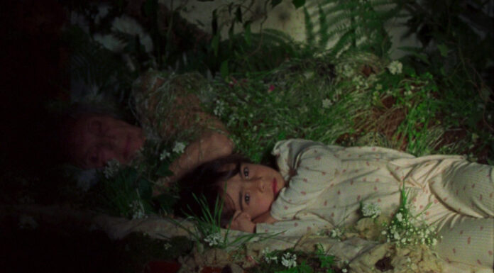 Meritxell Colell competirá en Locarno con ‘Lejos de los árboles’, su tercer largometraje de ficción Lejos de los arboles