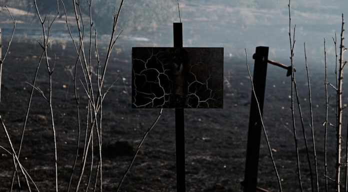 Richard Zubelzu rueda un documental sobre los incendios: ‘La Huella del Fuego’