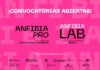 ANFIBIA 26