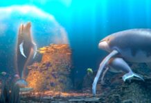 ‘La leyenda de la ballena cantora’ – estreno en cines 2 de octubre La leyenda de la ballena cantora 2
