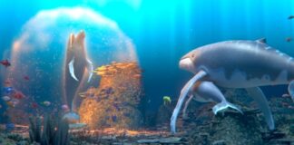 ‘La leyenda de la ballena cantora’ – estreno en cines 2 de octubre La leyenda de la ballena cantora 2